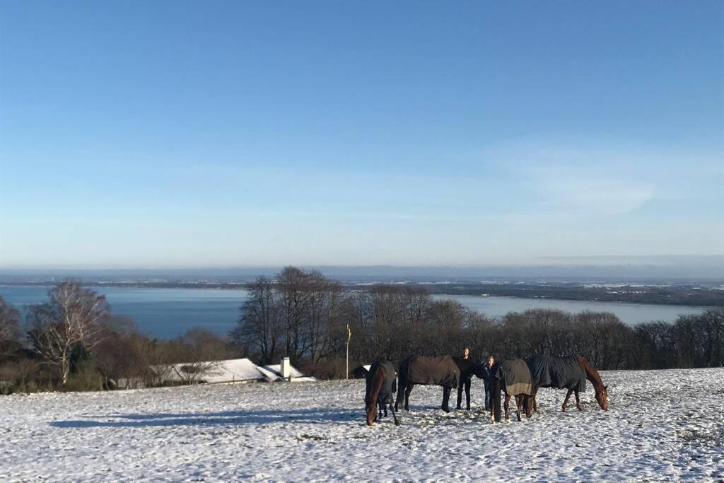 Villa Med Fantastisk Utsikt Båstad Kültér fotó