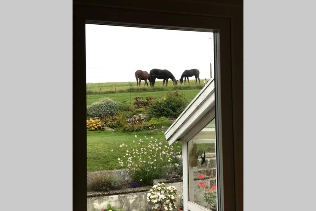 Villa Med Fantastisk Utsikt Båstad Kültér fotó